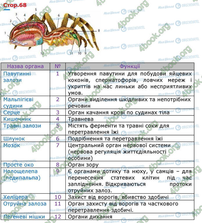 ГДЗ Біологія 7 клас сторінка Стр.68 (0)